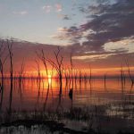 05-Top_10_Best_Tourist_Attractions_and_Places_To_Visit_in_Zimbabwe-BW-1600px